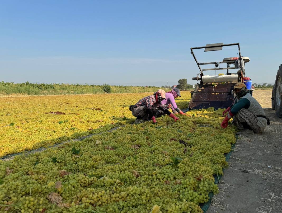 12 aylık emekte son dönemeç: 500 milyon dolar getiriyor 6